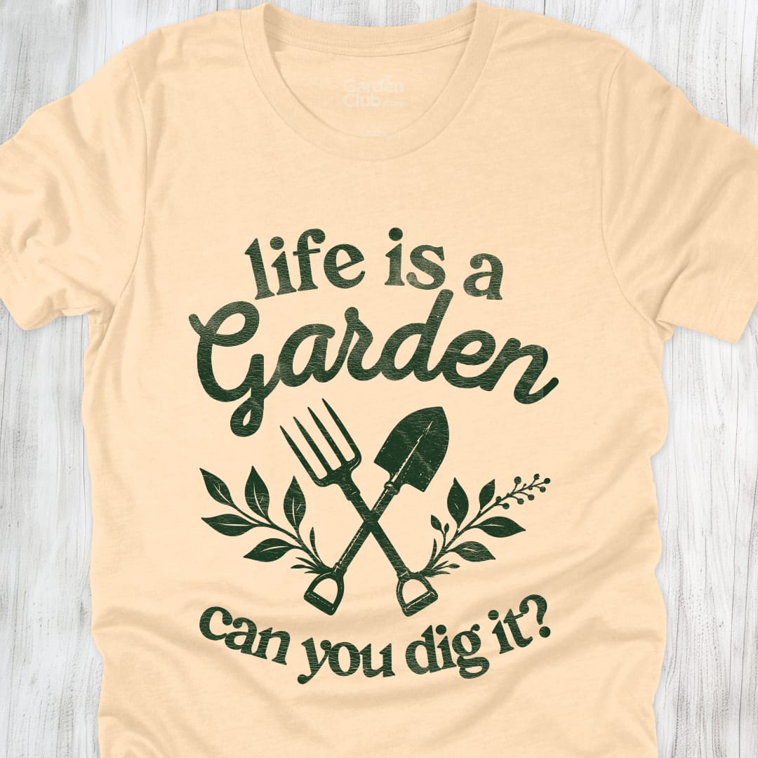 Can You Dig It? - Soft Cream