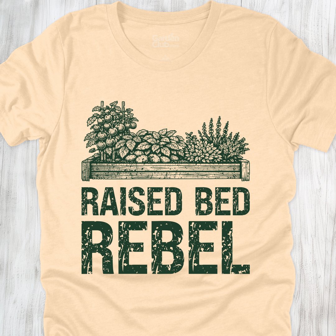 Raised Bed Rebel