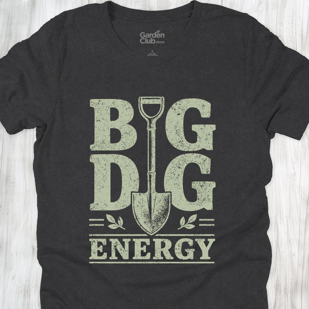 Big Dig Energy