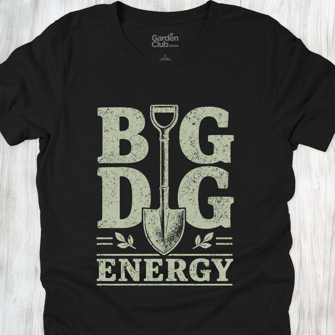 Big Dig Energy