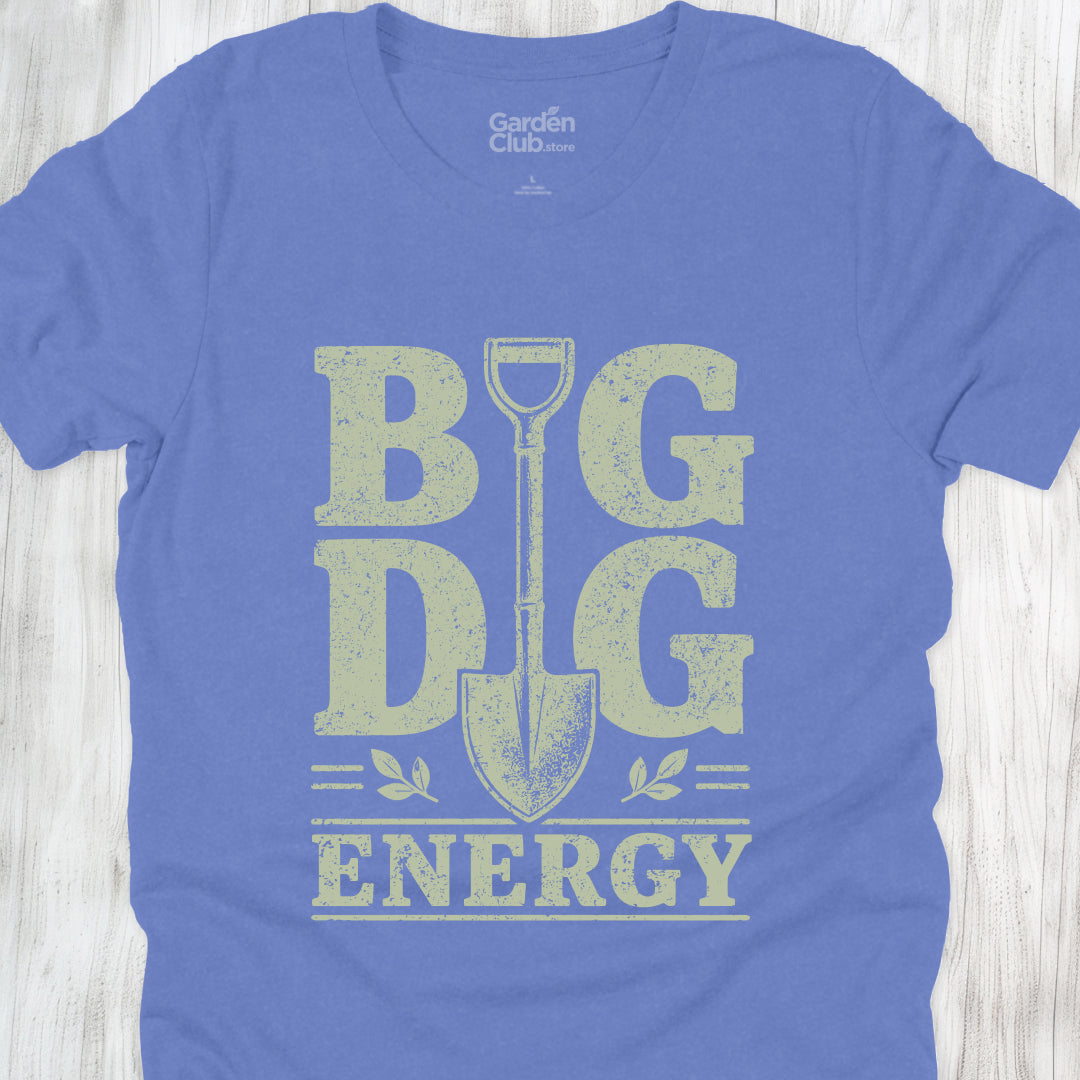 Big Dig Energy