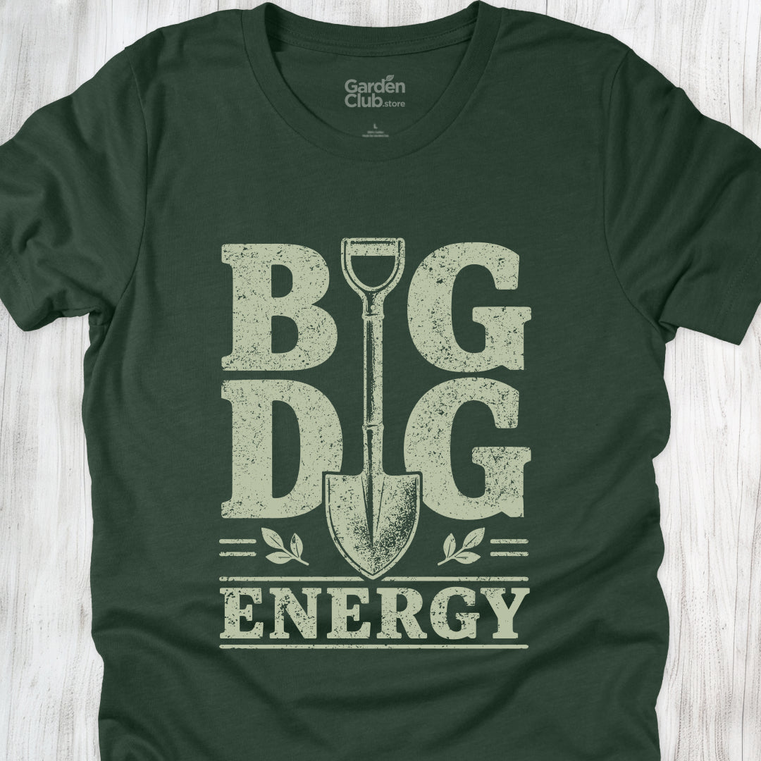 Big Dig Energy