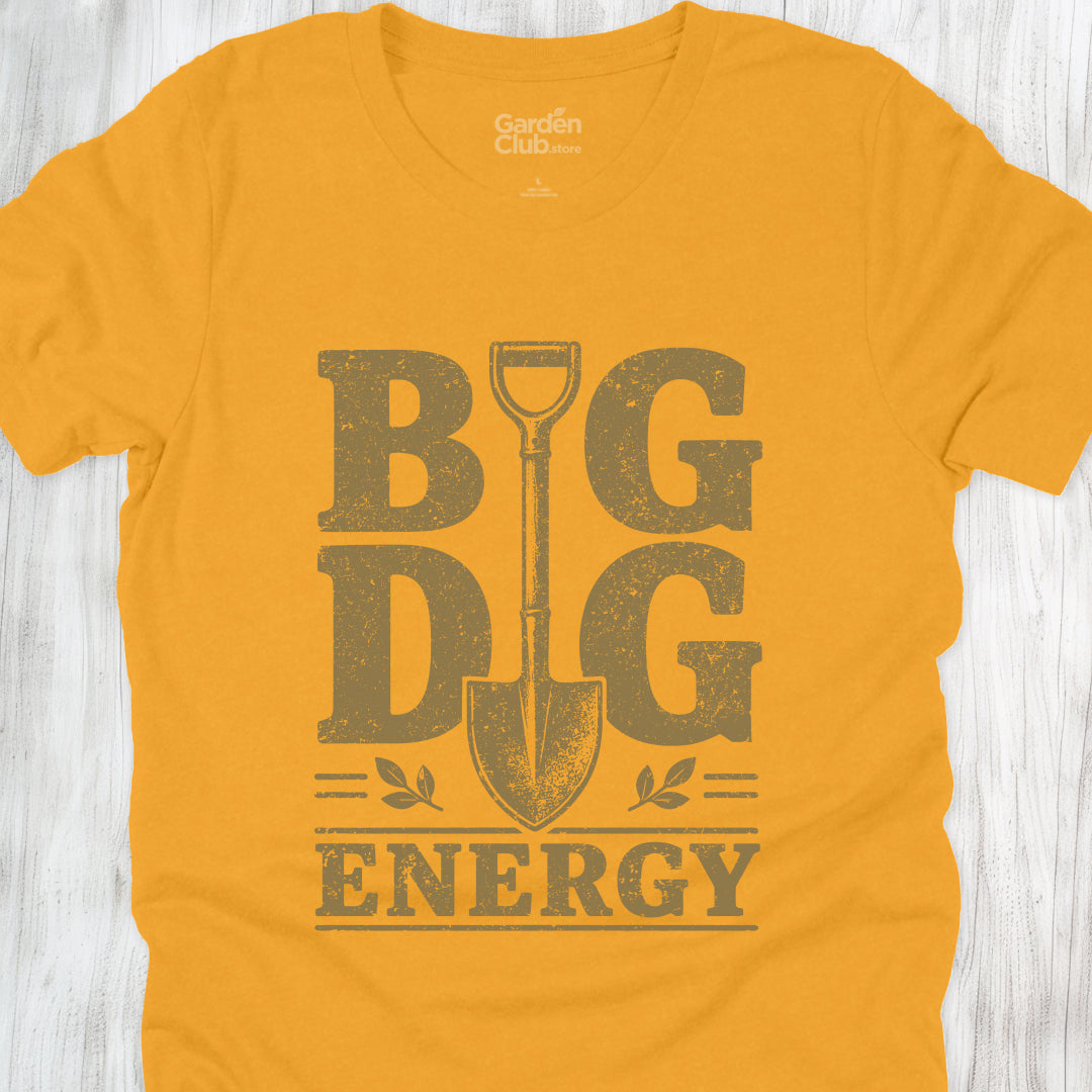 Big Dig Energy