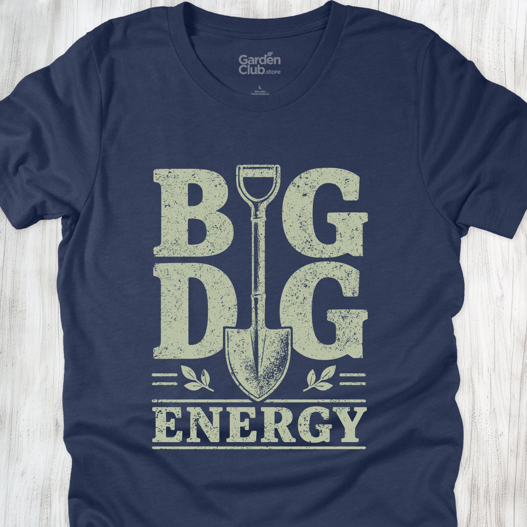 Big Dig Energy