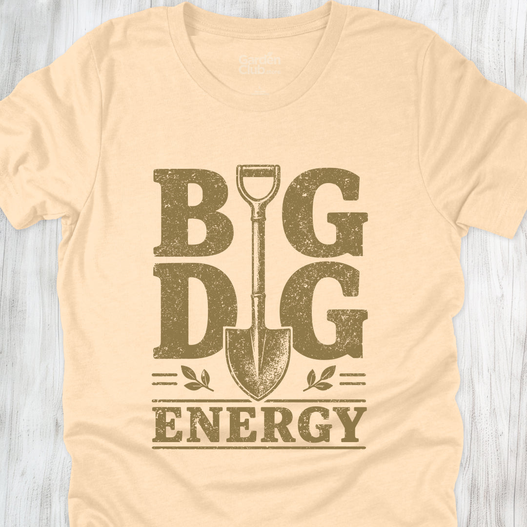Big Dig Energy