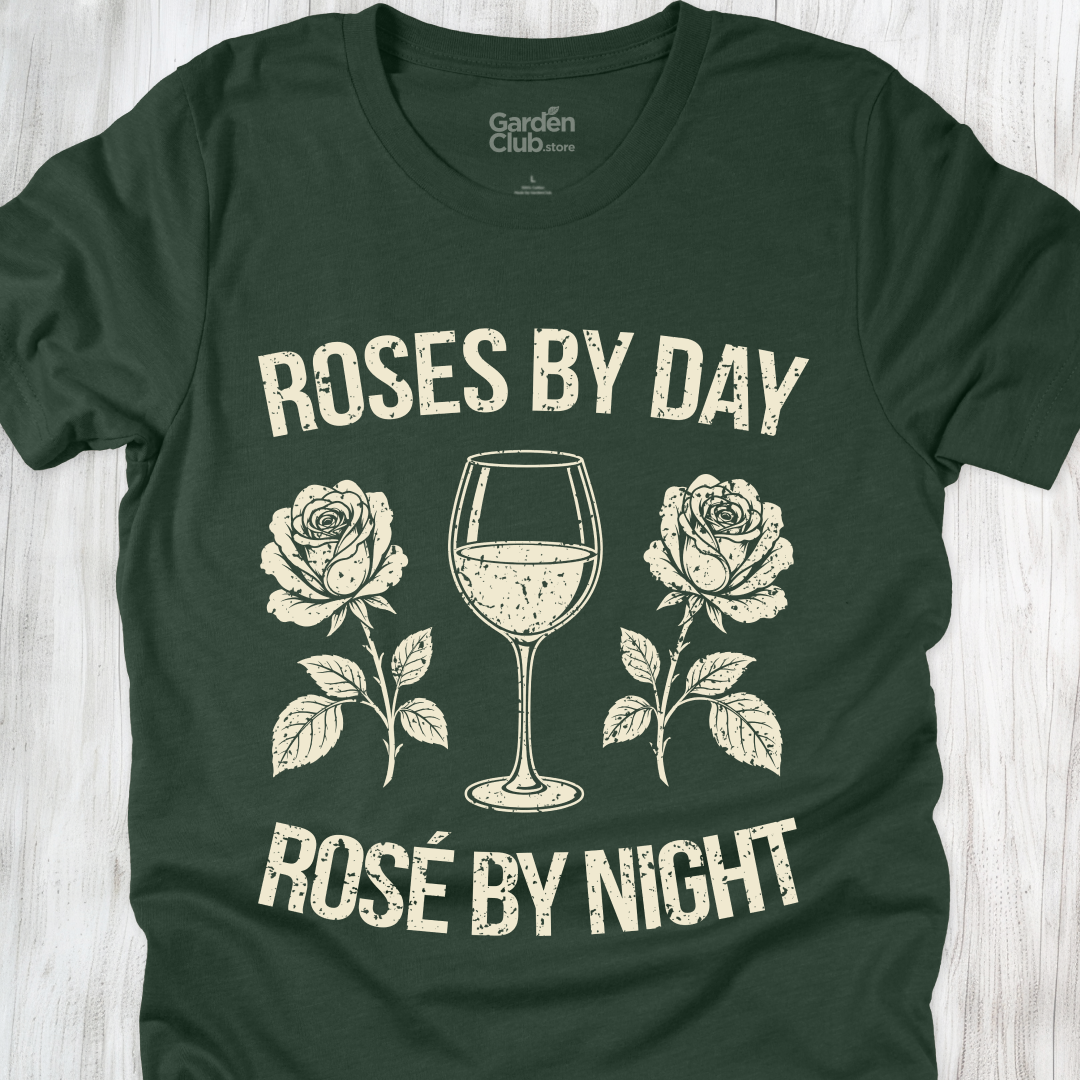 Rosé By Night