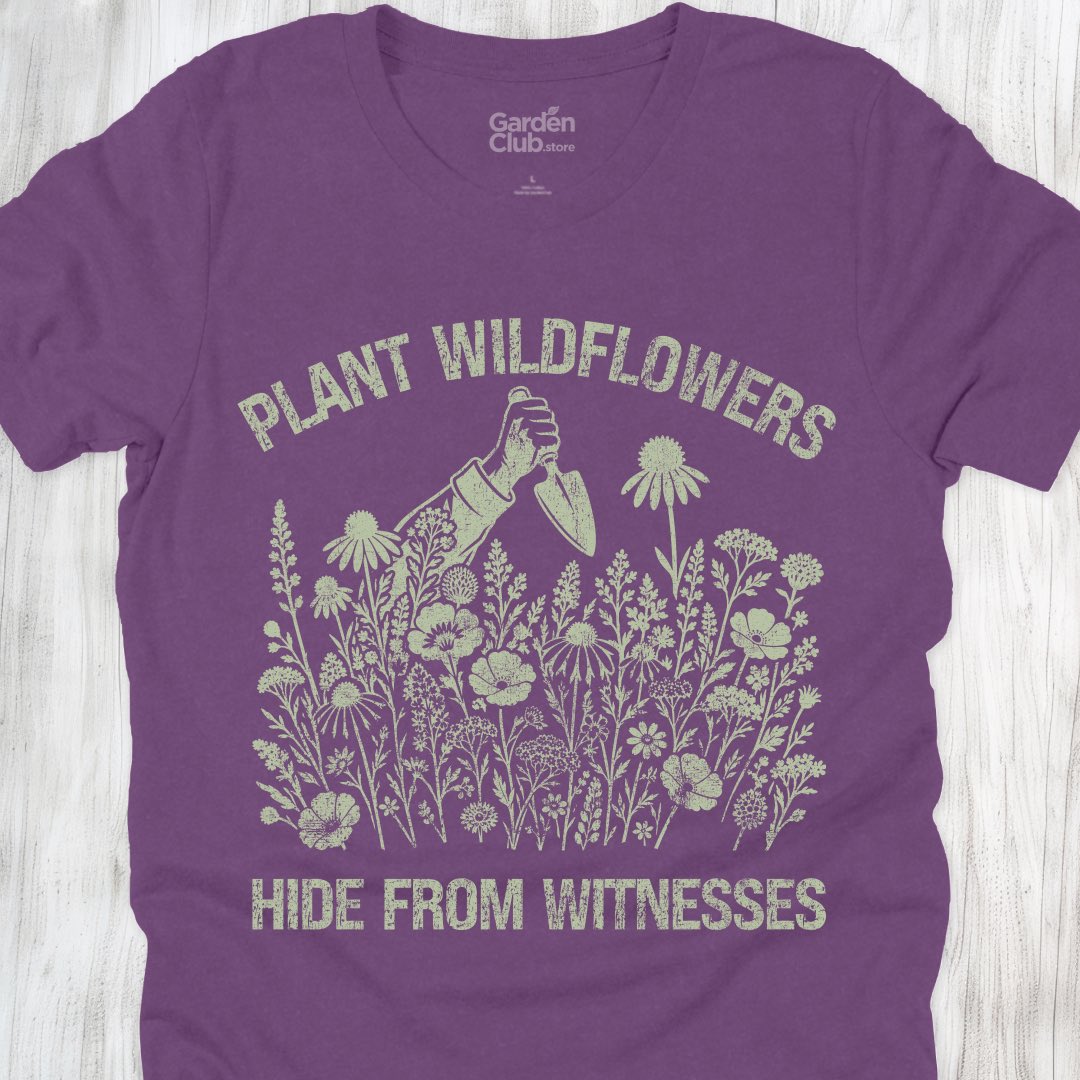 Hide From Witnesses