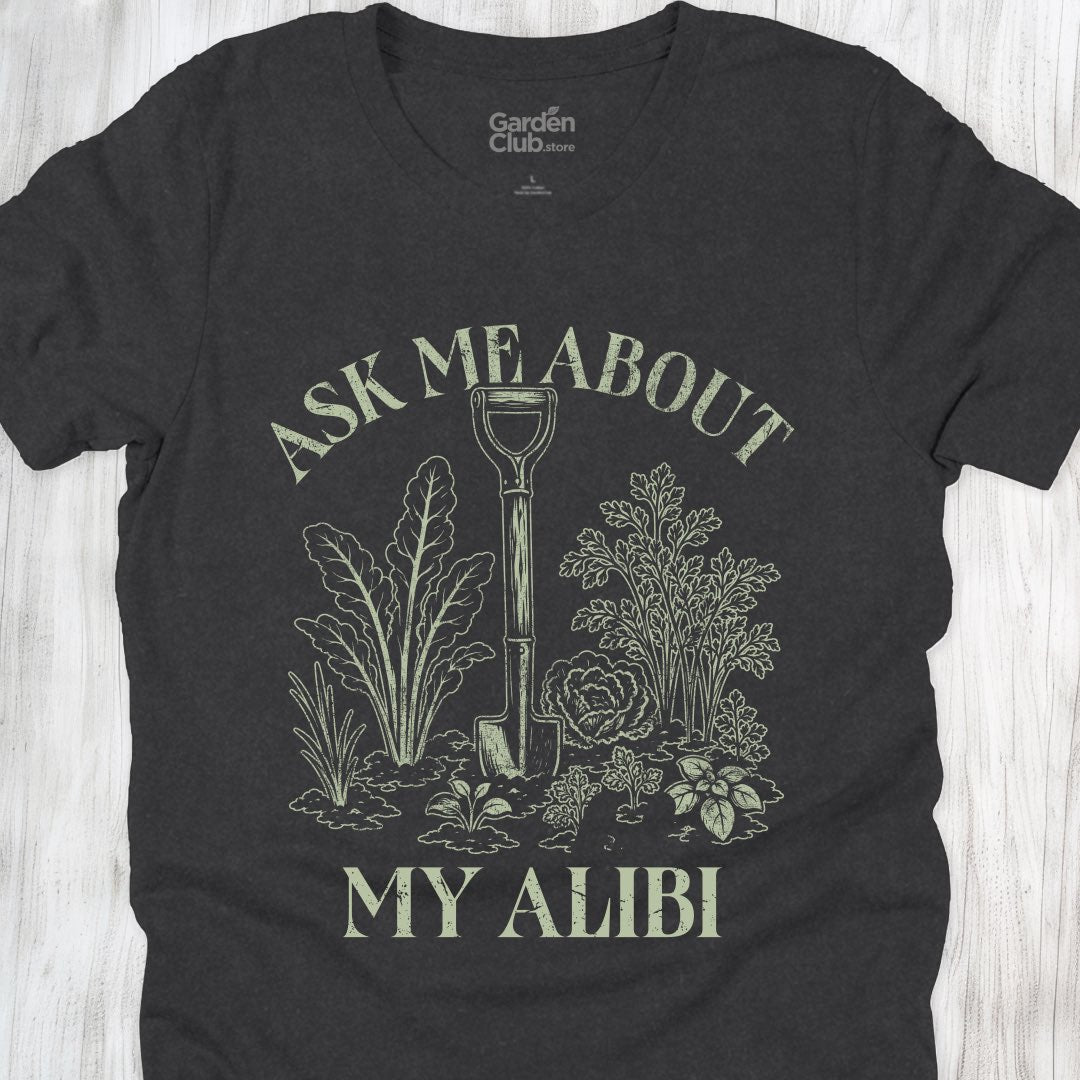 Ask me about my alibi