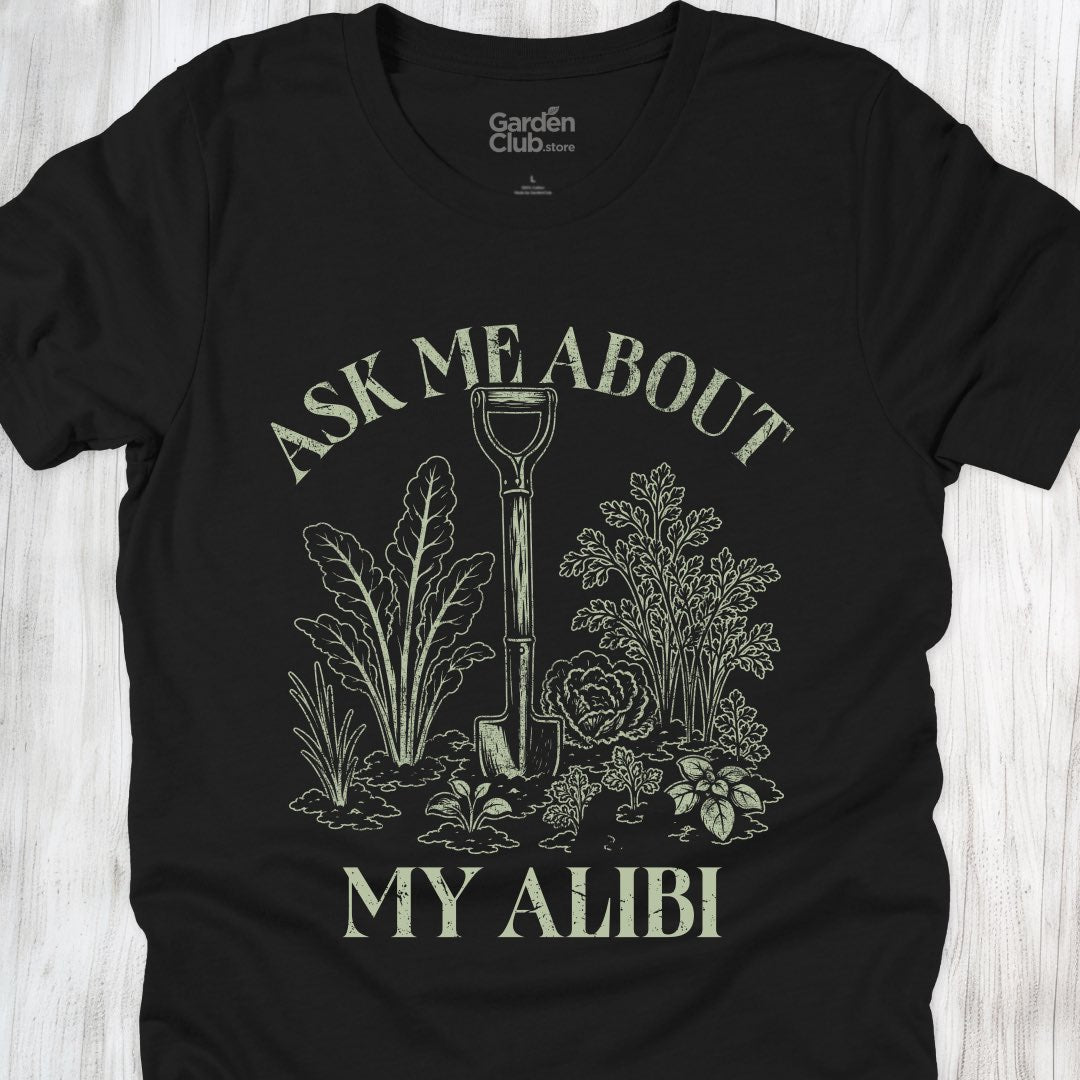 Ask me about my alibi