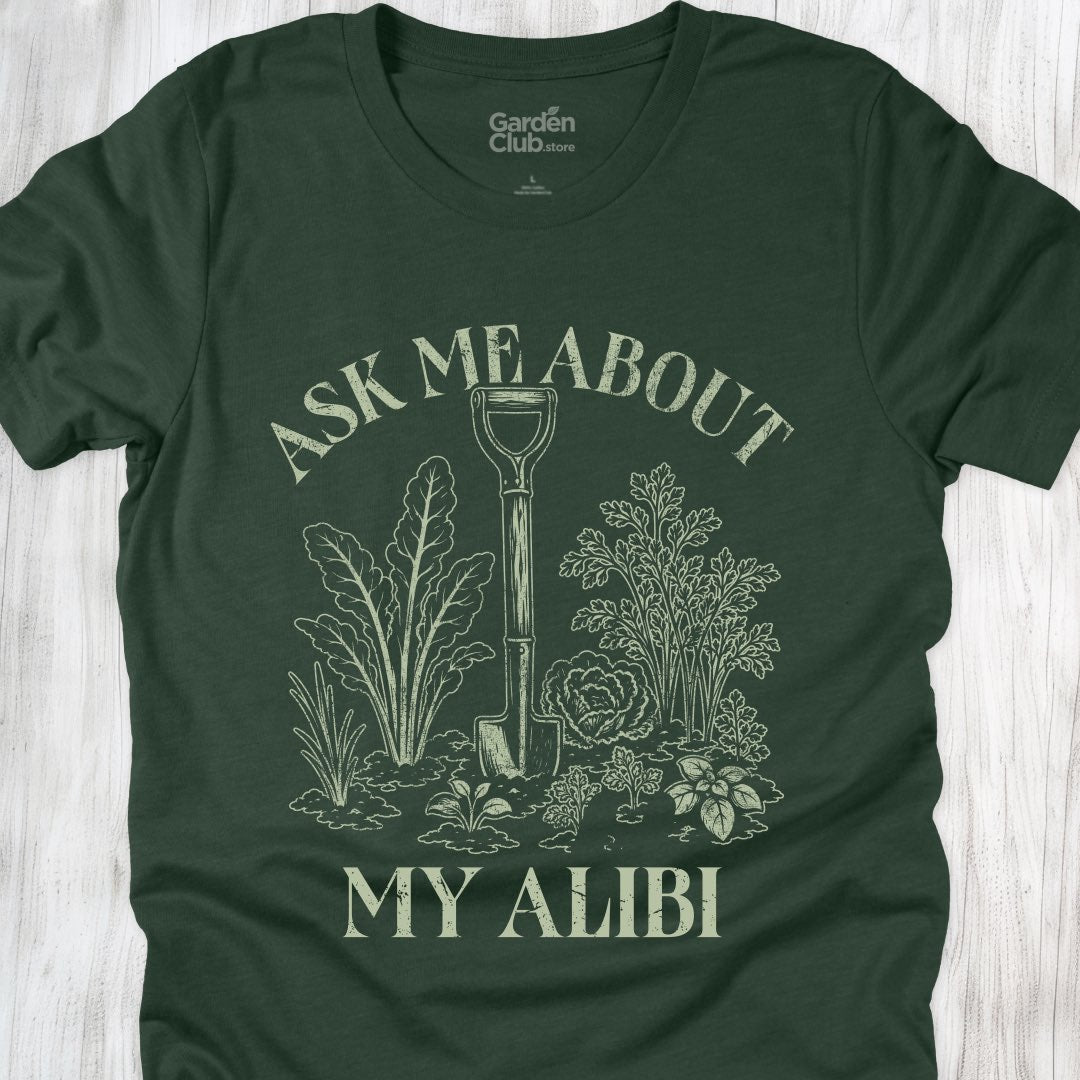 Ask me about my alibi
