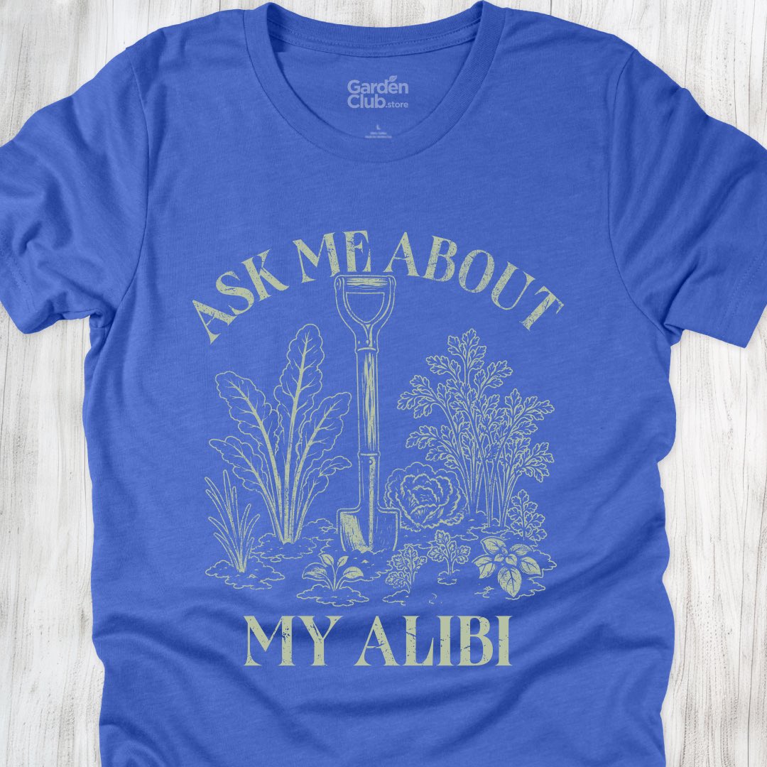 Ask me about my alibi