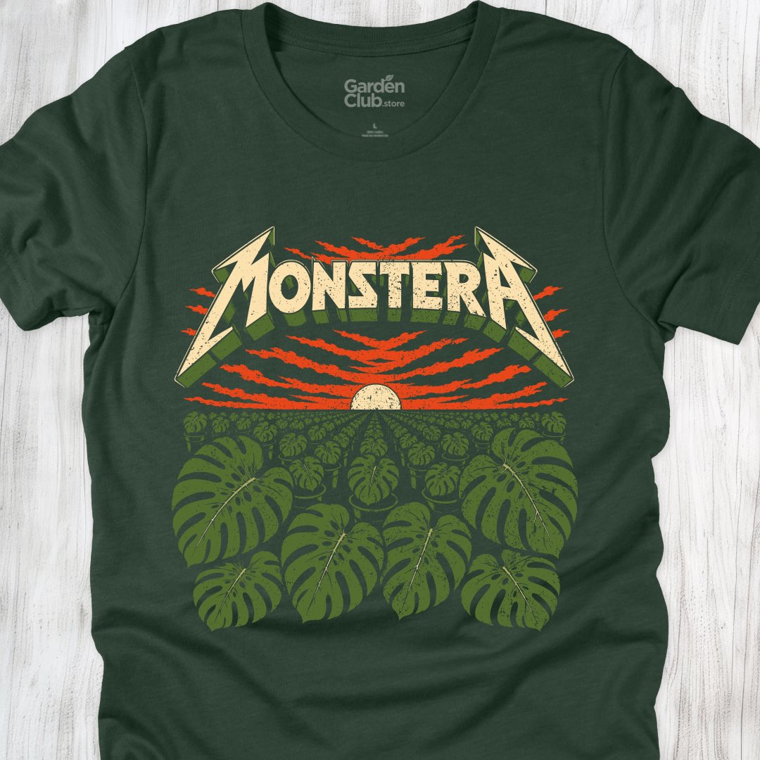 Monstera