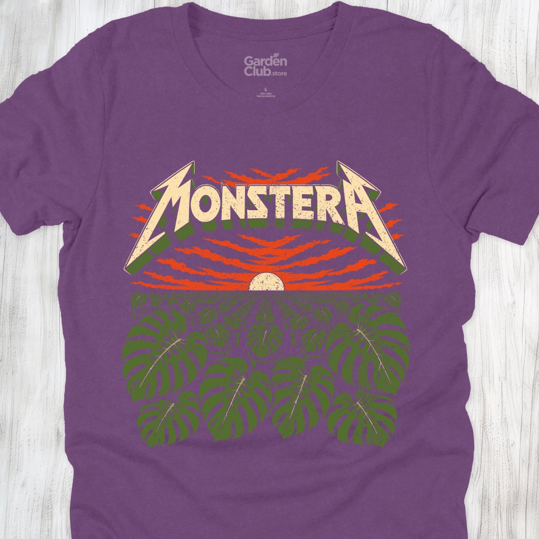Monstera