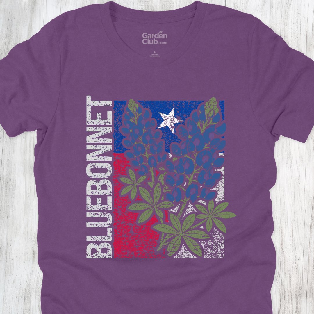Bluebonnet