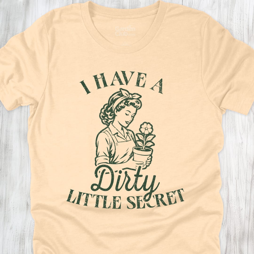I have a dirty little secret