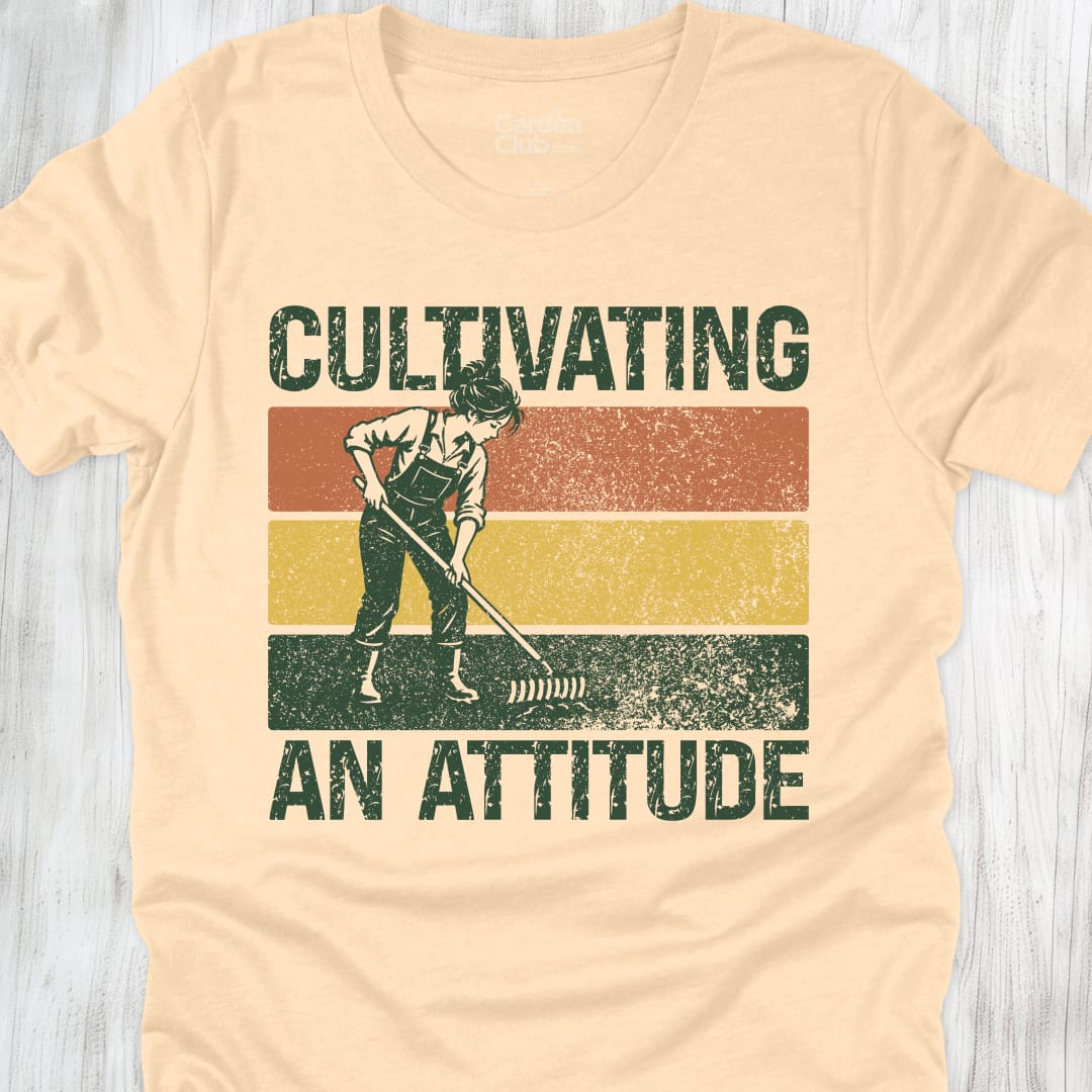 Cultivating an attitude