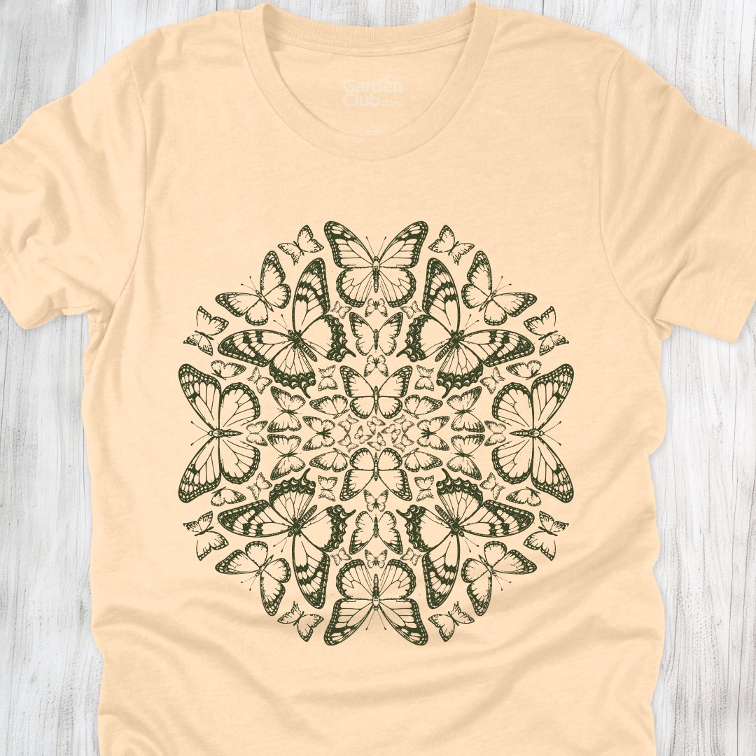Butterflies