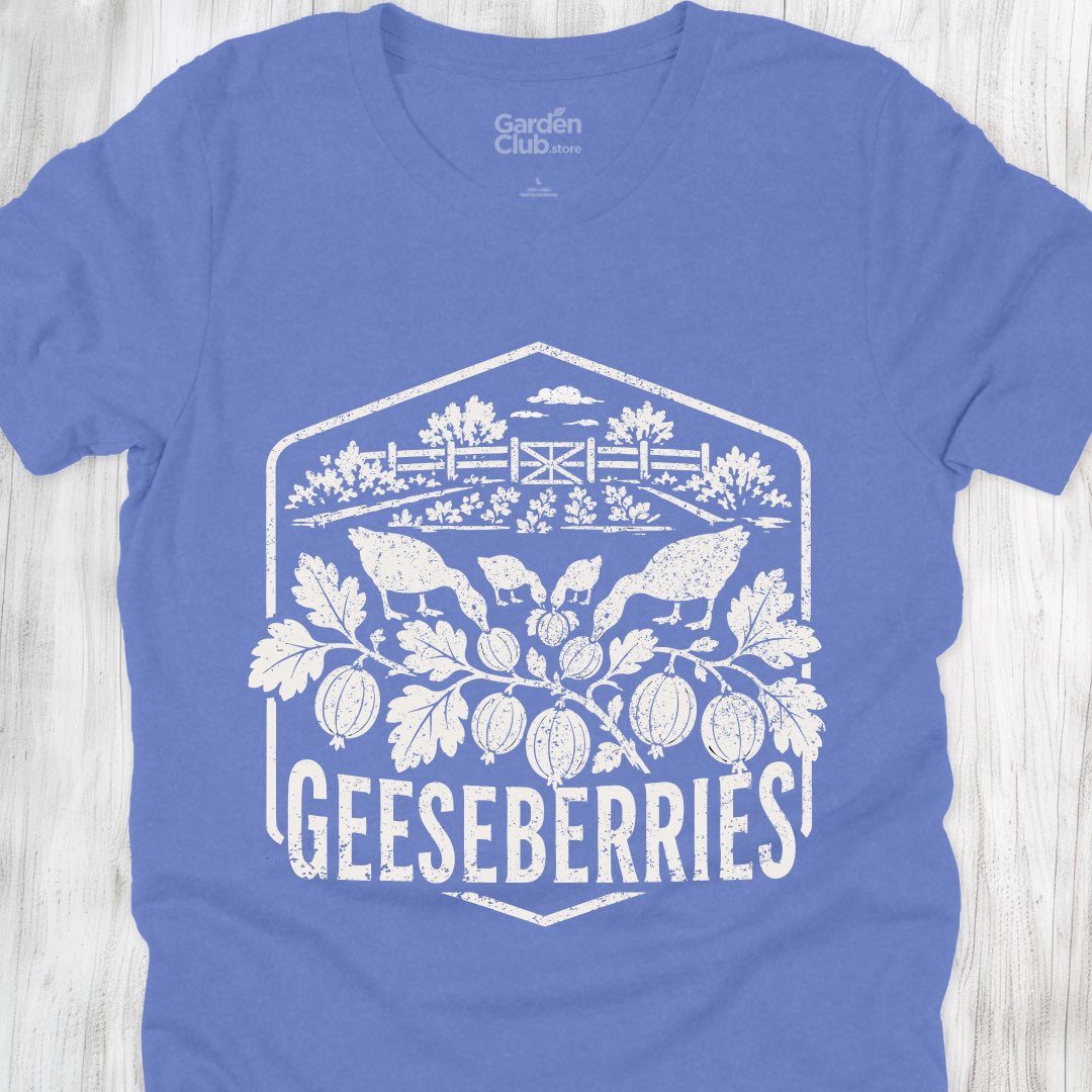 Geeseberries
