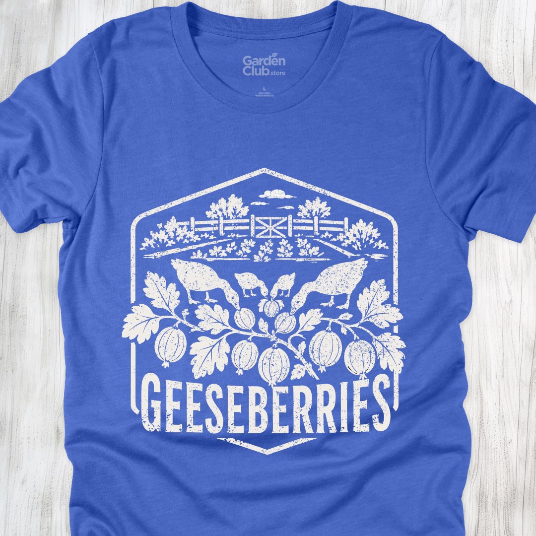 Geeseberries