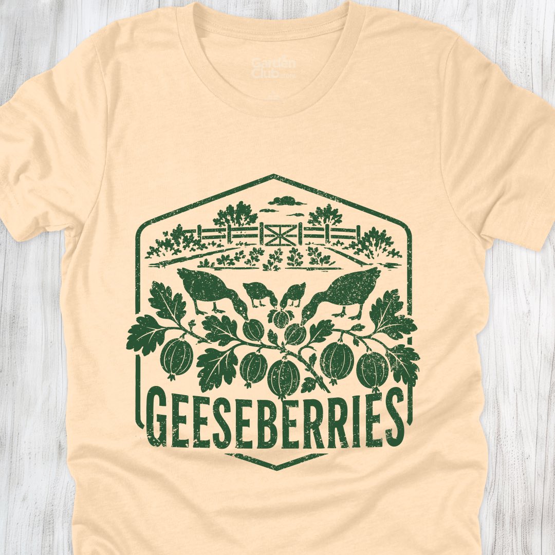 Geeseberries