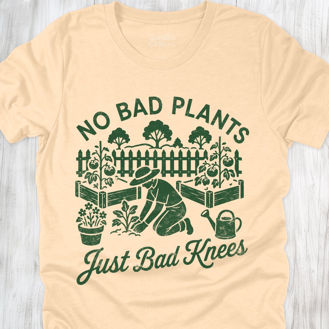 No bad plants