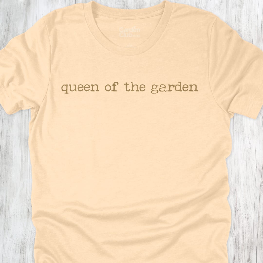 Queen of the garden - Soft Cream