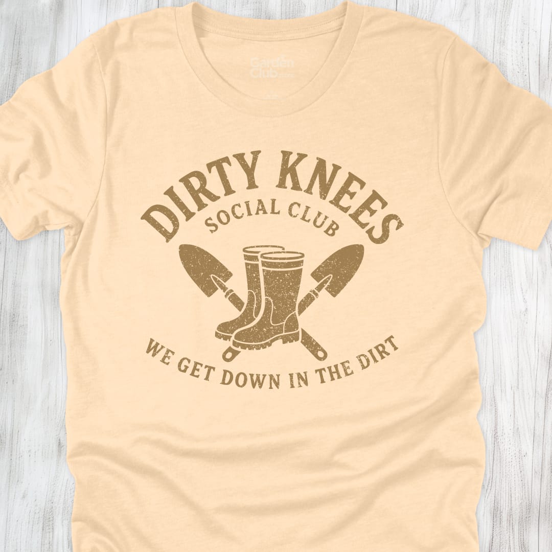 Dirty Knees Social Club - Soft Cream