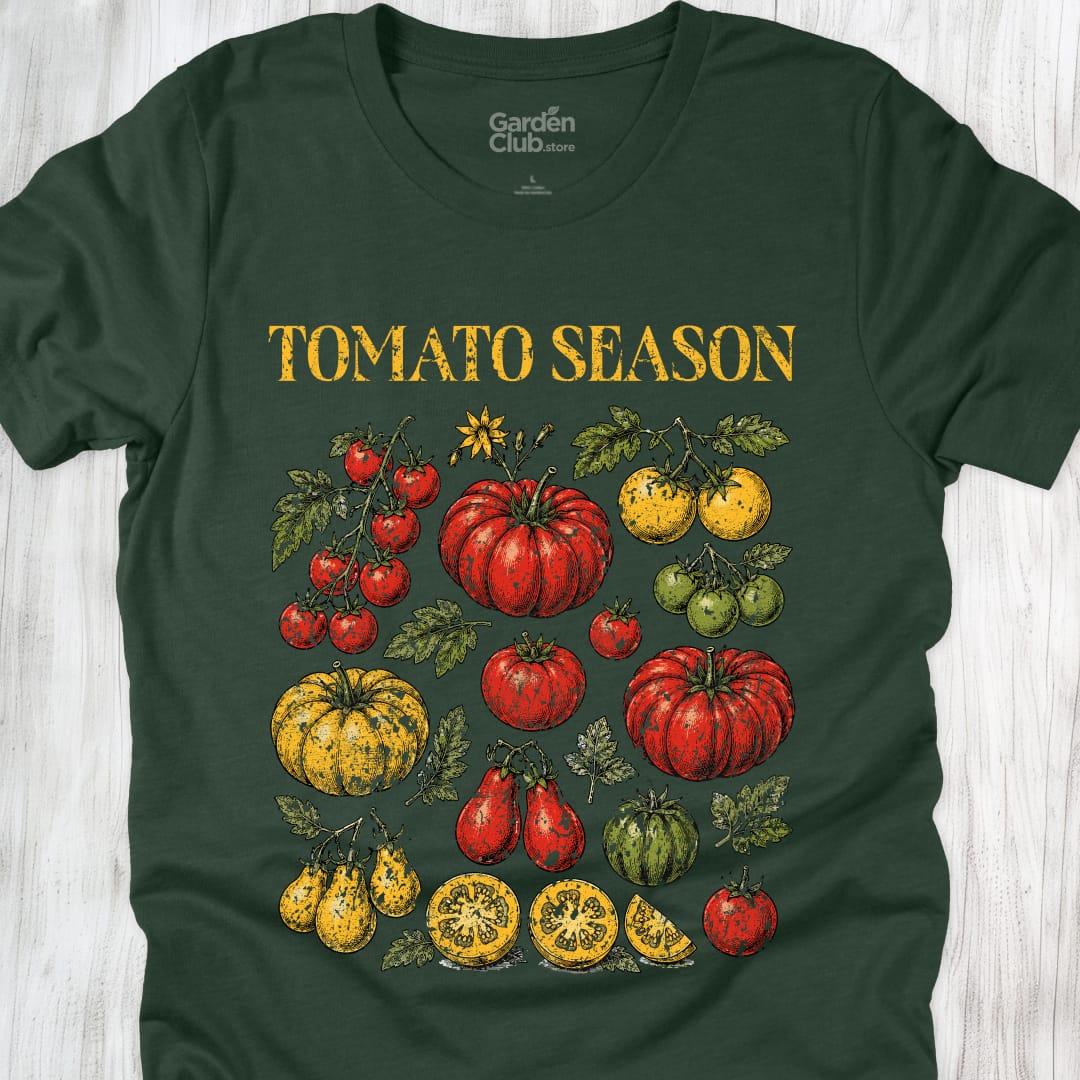 Tomatoe Season - Forest