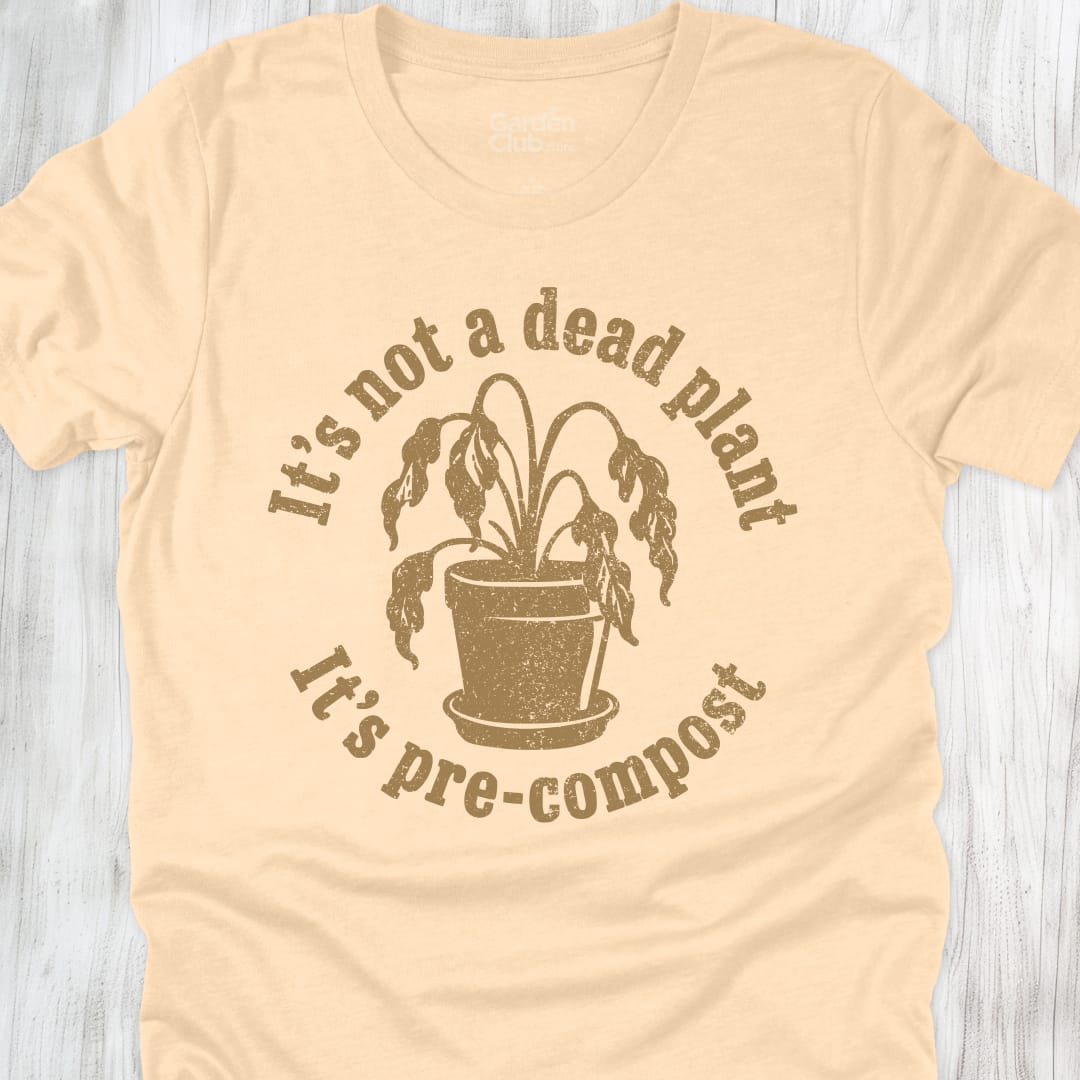 It'S Not A Dead Plant It'S Pre Compost - Soft Cream