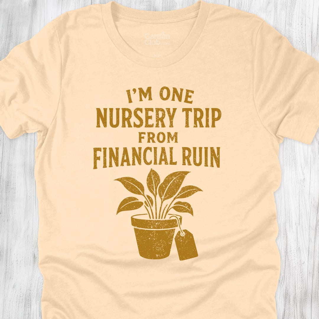 I'M One Nursery Trip From Financial Ruin - Soft Cream