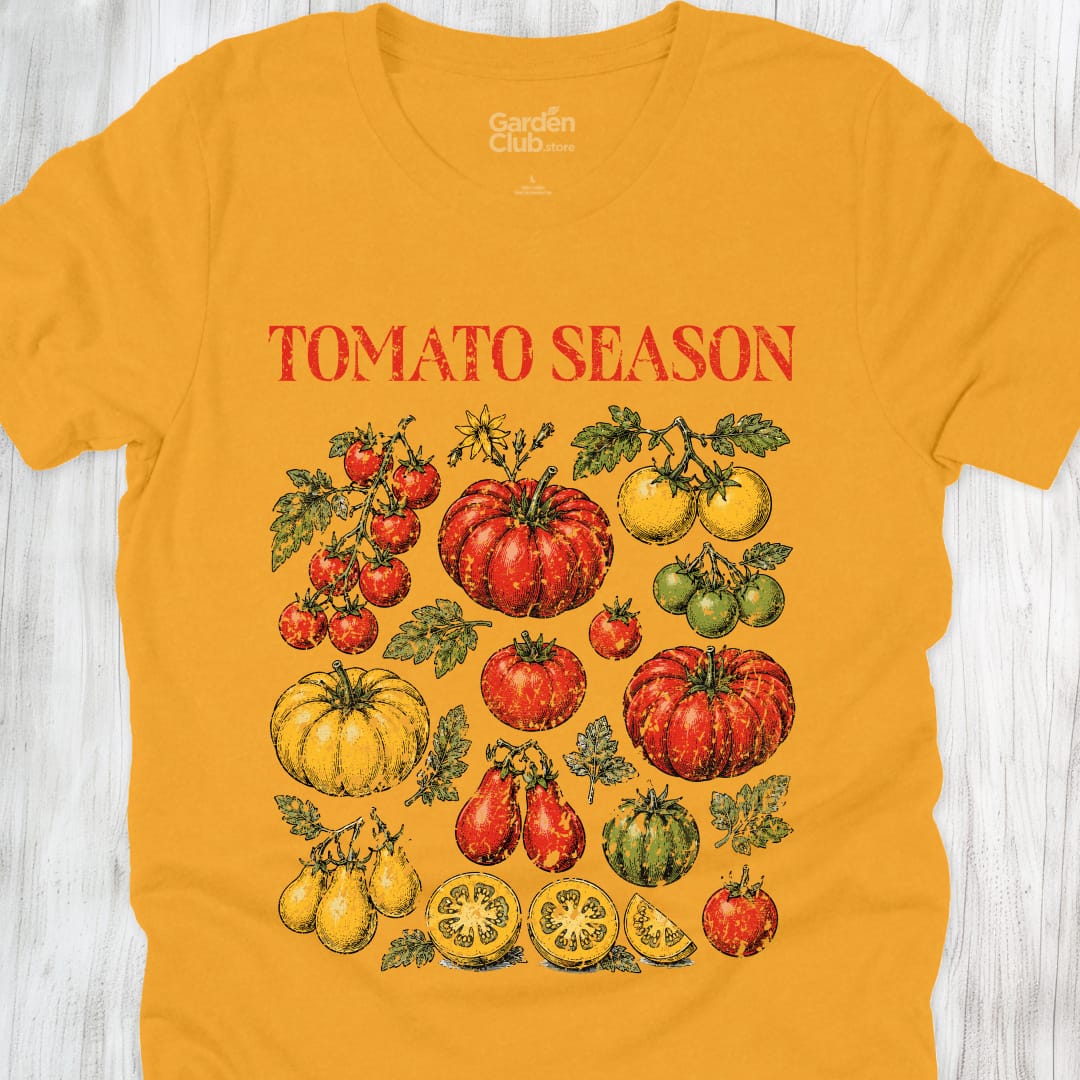 Tomatoe Season - Gold