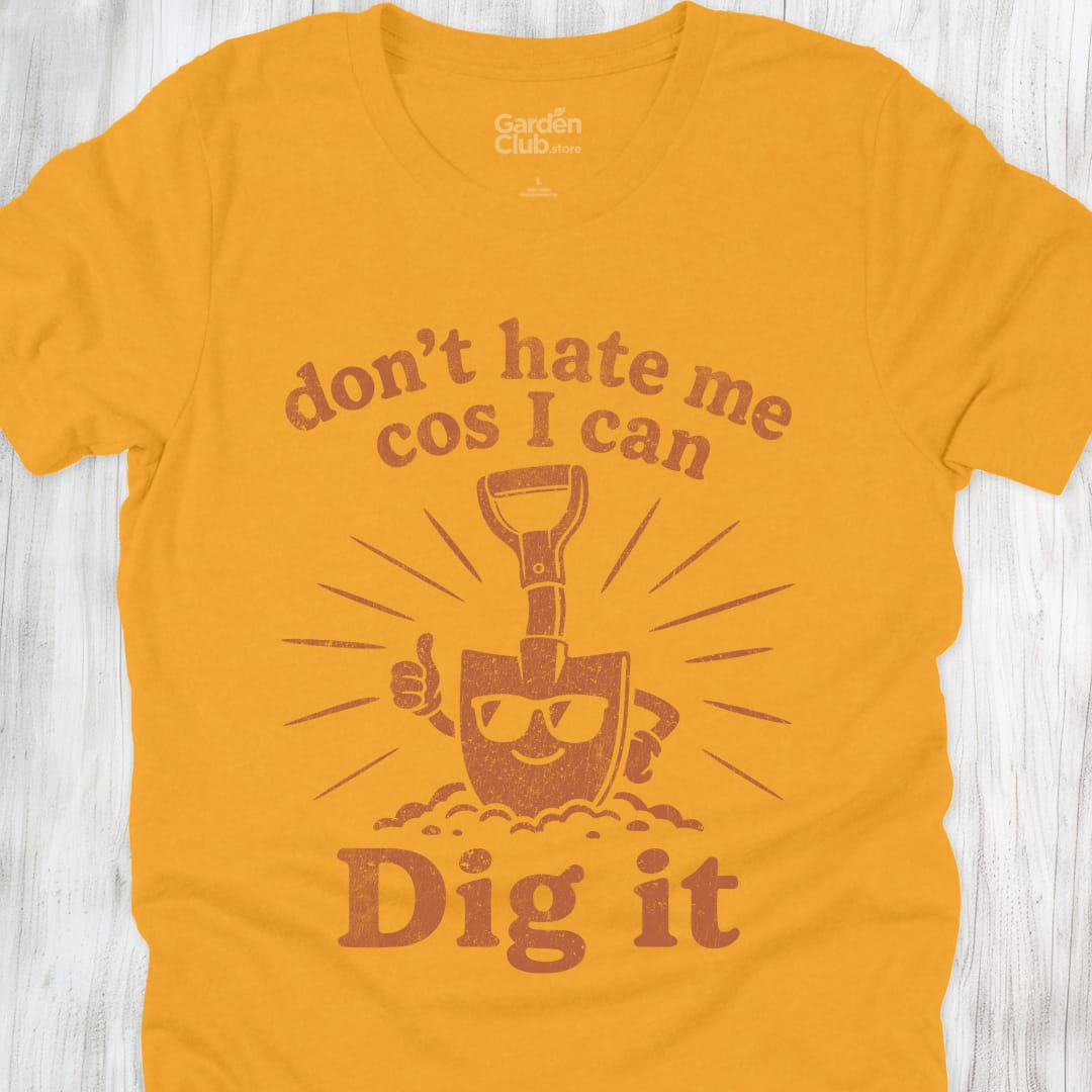 Dont Hate Me - Gold