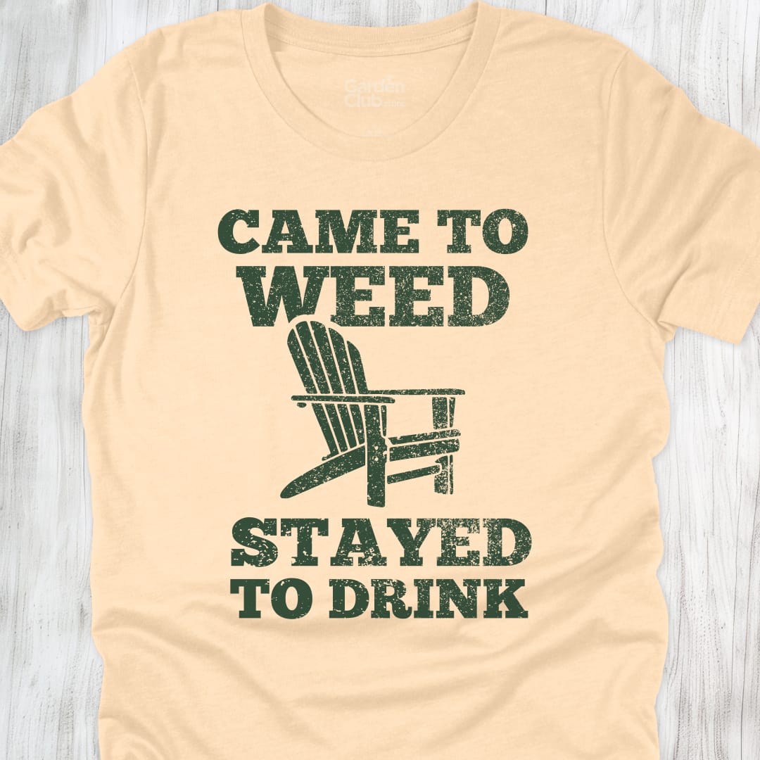 CAME TO WEED STAYED TO DRINK - Soft Cream