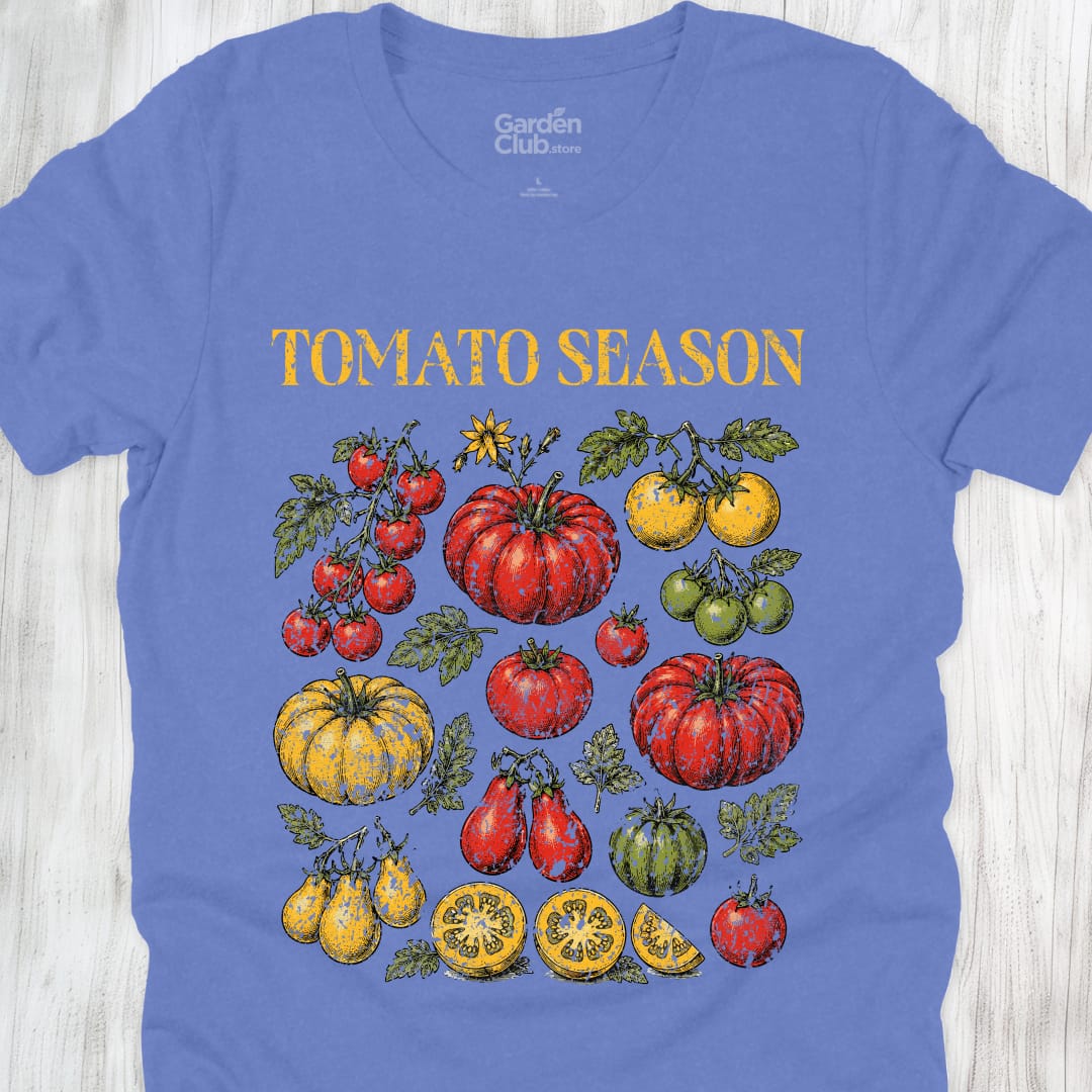Tomatoe Season - Heather Columbia Blue