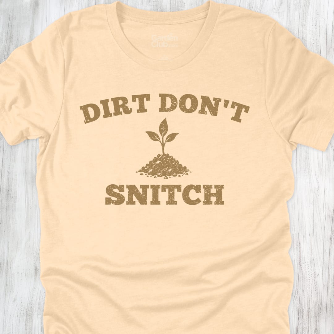 Dirt Don'T Snitch - Soft Cream