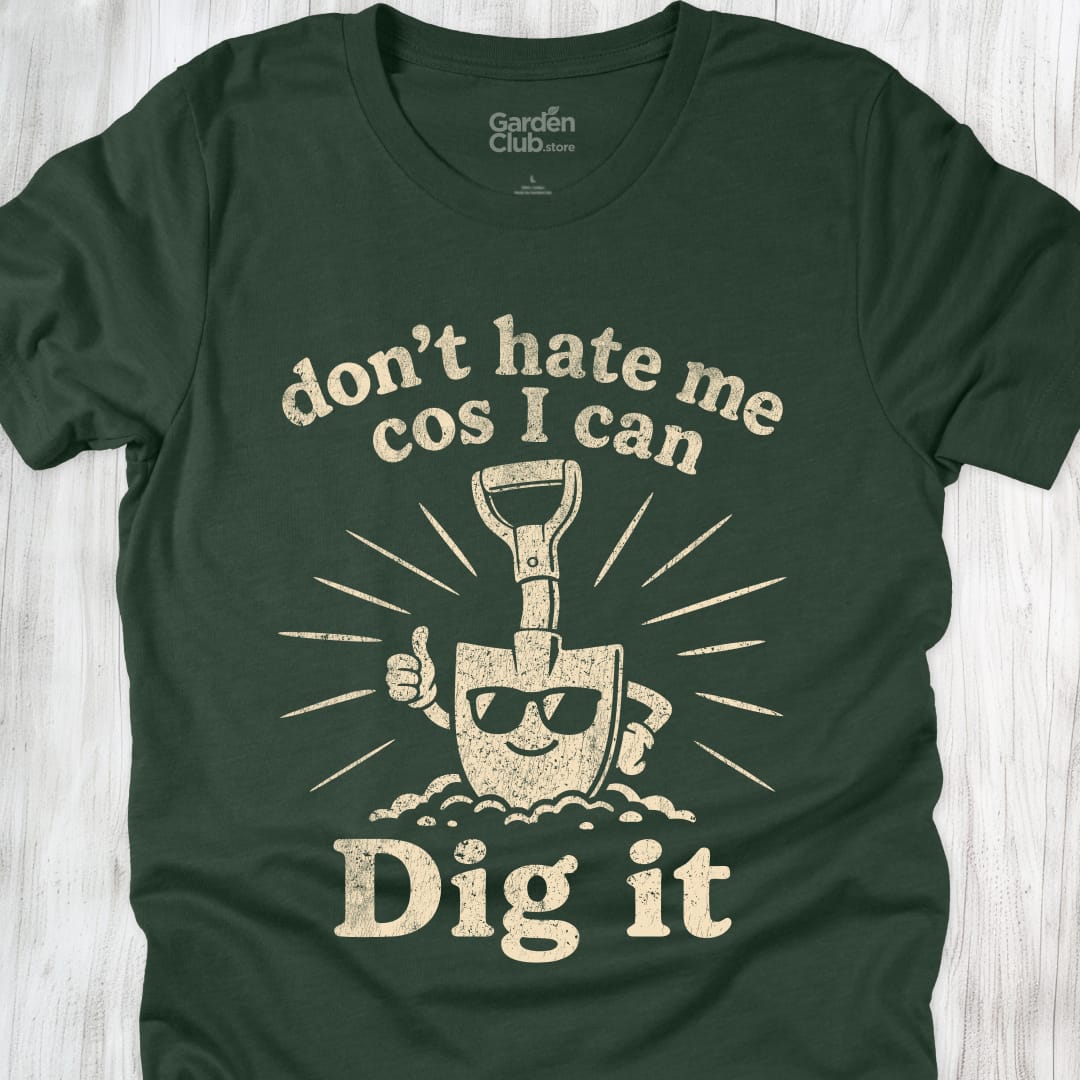 Dont Hate Me - Forest