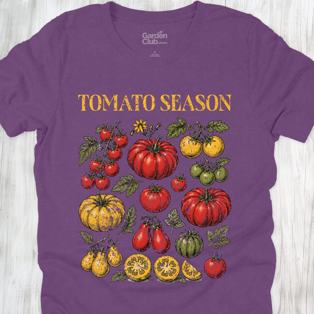Tomatoe Season - Heather Team Purple