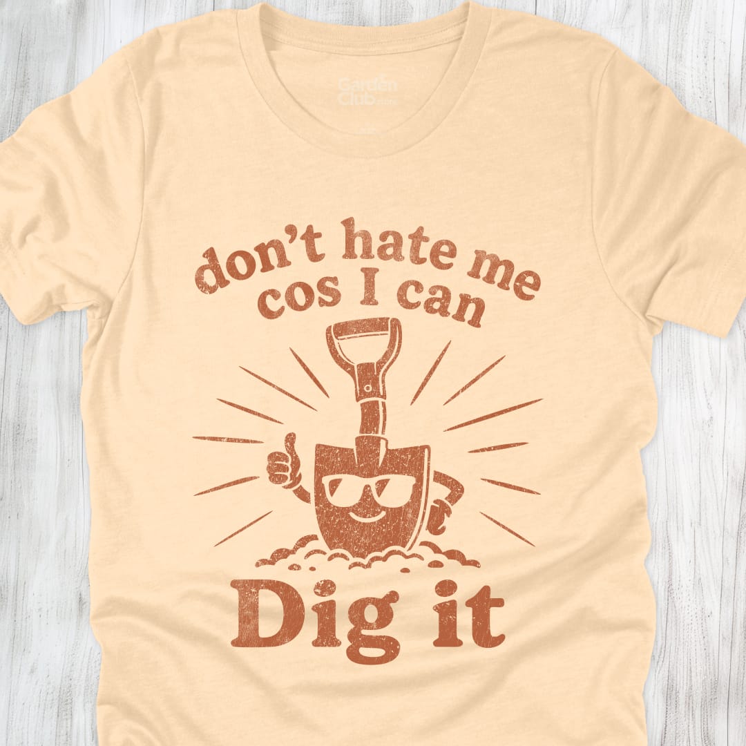 Dont Hate Me - Soft Cream