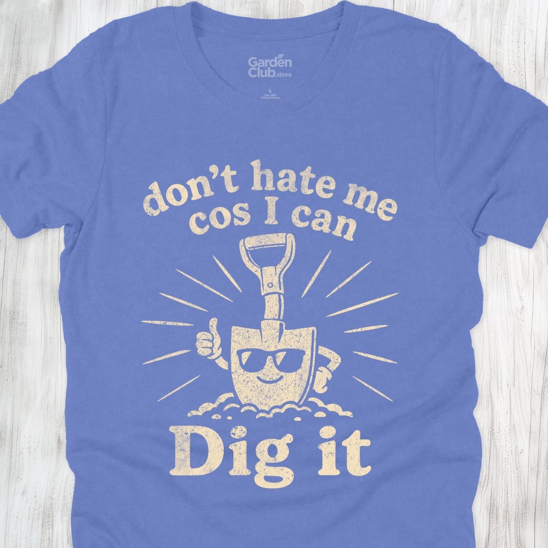 Dont Hate Me - Heather Columbia Blue