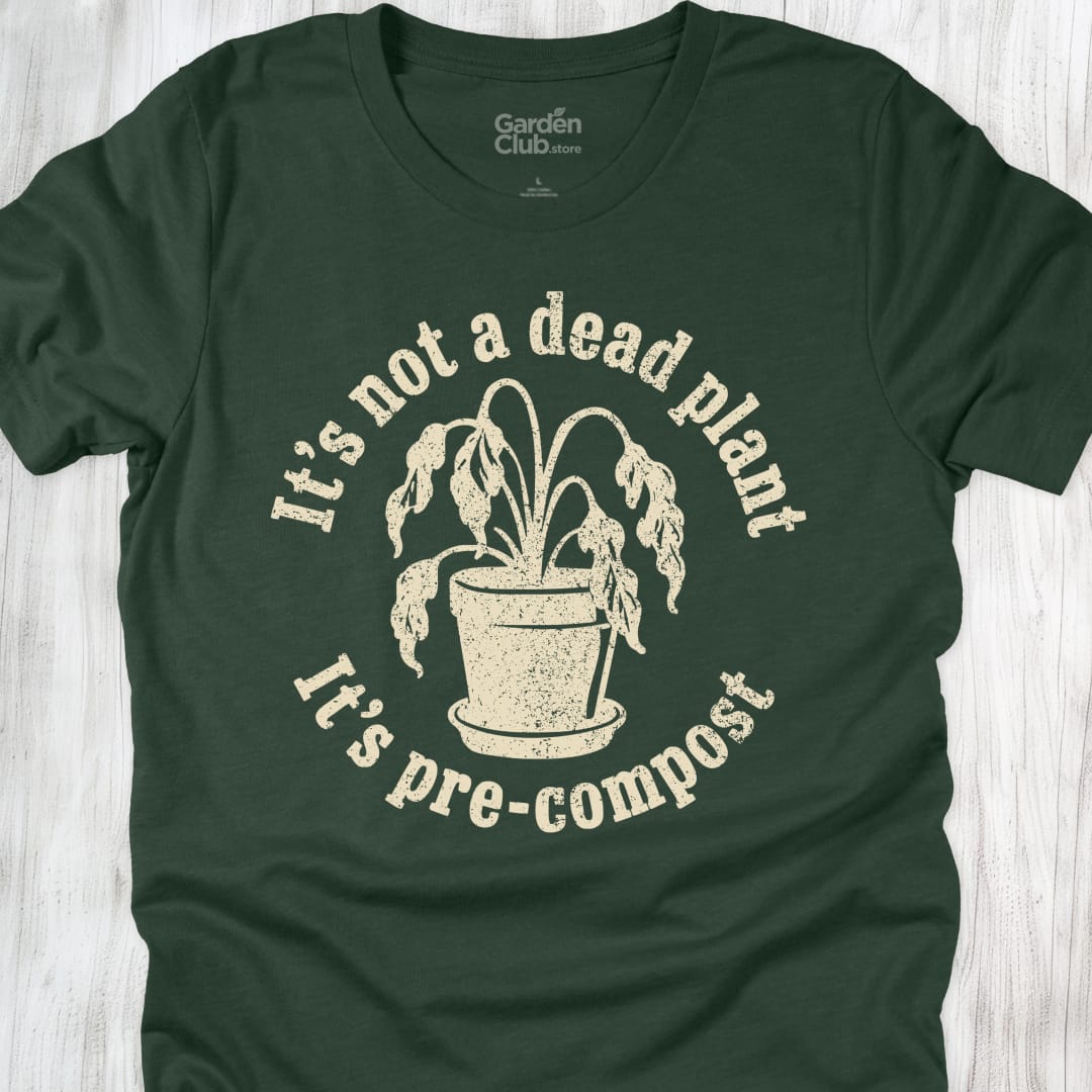It'S Not A Dead Plant It'S Pre Compost - Forest