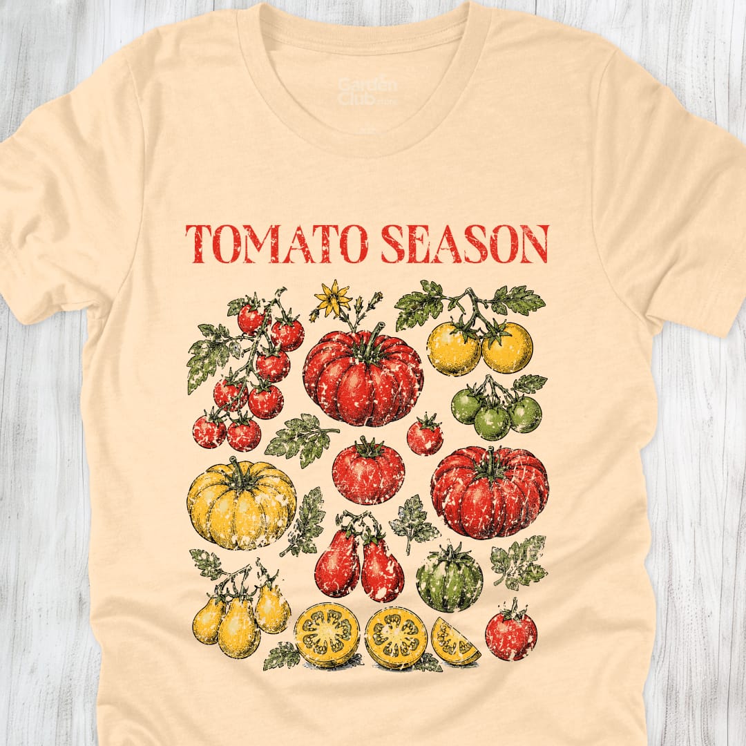Tomatoe Season - Soft Cream